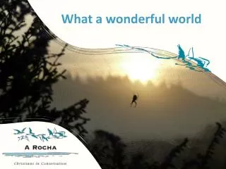 what a wonderful world