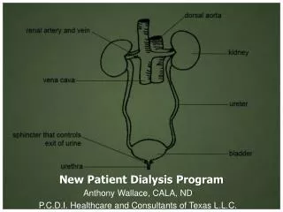 New Patient Dialysis Program