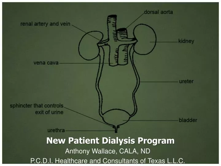 new patient dialysis program