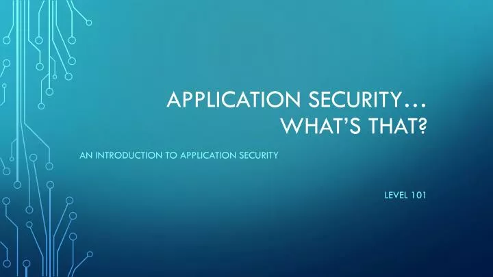 application security what s that