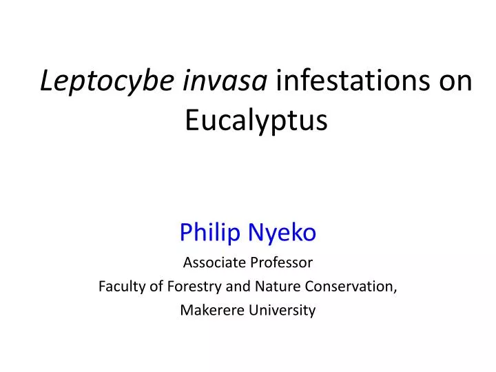 leptocybe invasa infestations on eucalyptus