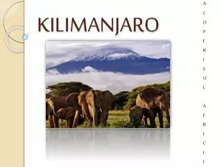 kilimanjaro