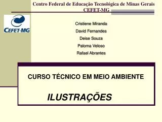 centro federal de educa o tecnol gica de minas gerais cefet mg