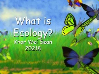 What is Ecology? Khor Wei Sean 20218
