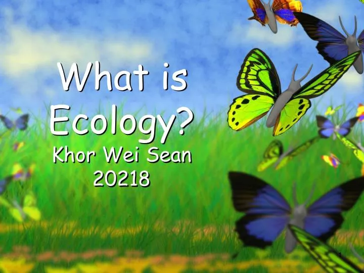 what is ecology khor wei sean 20218
