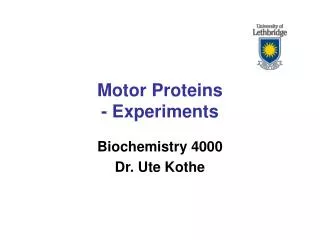 Motor Proteins - Experiments