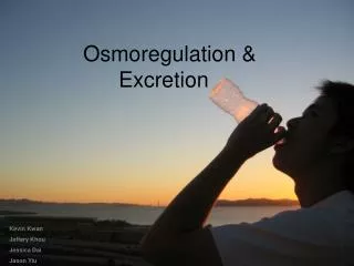 Osmoregulation &amp; 	Excretion