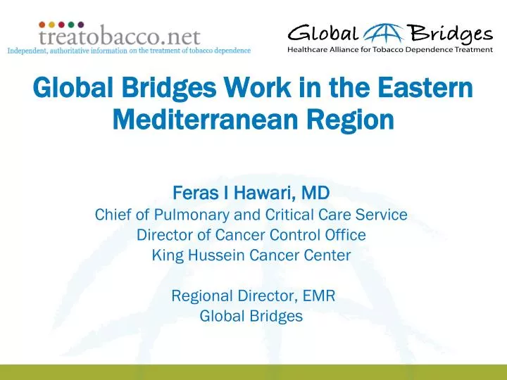 global bridges work in the eastern mediterranean region