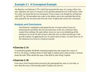 Example 2.1 A Conceptual Example