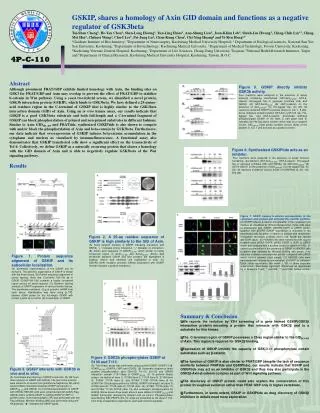 GSKIP, shares a homology of Axin GID domain and functions as a negative regulator of GSK3beta