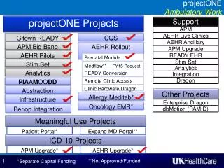 projectONE Ambulatory Work