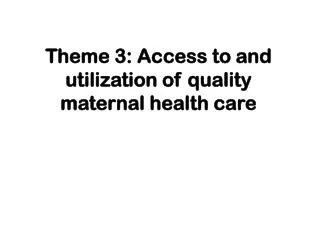 Theme 3: Access to and utilization of quality maternal health care