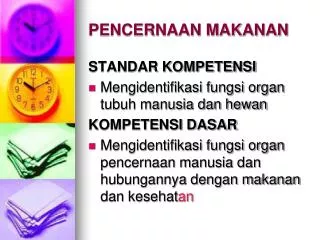 pencernaan makanan