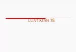 LUẬT KINH TẾ - slide 1