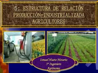 5 : ESTRUCTURA DE RELACIÓN PRODUCCIÓN-INDUSTRIALIZADA AGRICULTORES