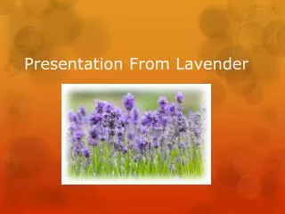 Presentation From Lavender