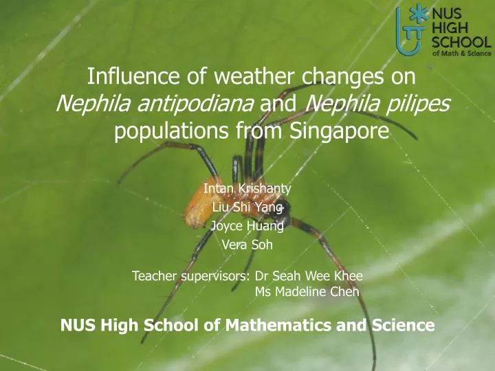 influence of weather changes on nephila antipodiana and nephila pilipes populations from singapore