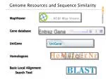 MapViewer - slide 1