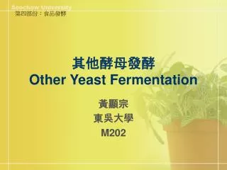 other yeast fermentation