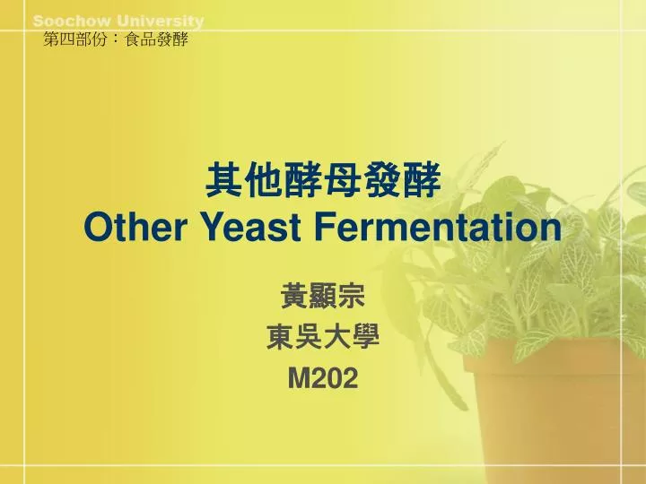 other yeast fermentation