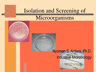isolation and screening of microorganisms