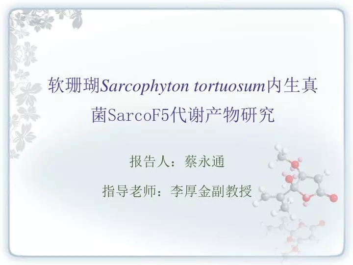 sarcophyton tortuosum sarcof5