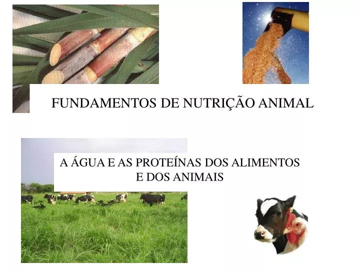 fundamentos de nutri o animal