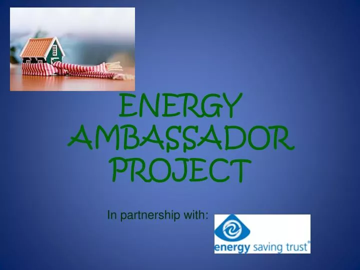 energy ambassador project