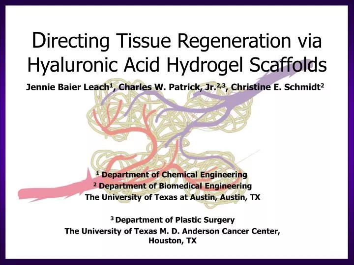 d irecting tissue regeneration via hyaluronic acid hydrogel scaffolds