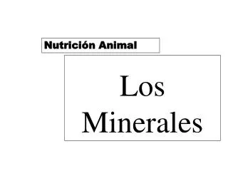 los minerales