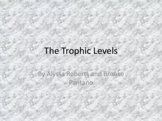 The Trophic Levels