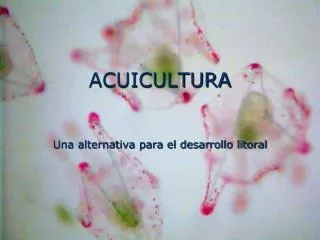 acuicultura