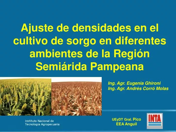 ajuste de densidades en el cultivo de sorgo en diferentes ambientes de la regi n semi rida pampeana