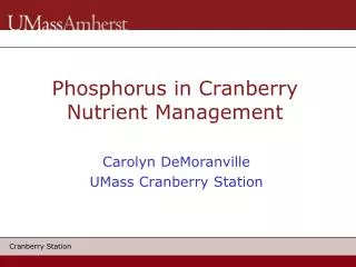 Phosphorus in Cranberry Nutrient Management