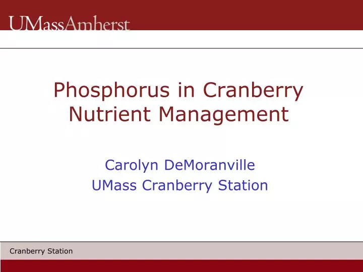 phosphorus in cranberry nutrient management