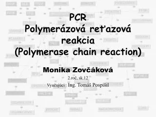 pcr polymer zov re azov reakcia polymerase chain reaction