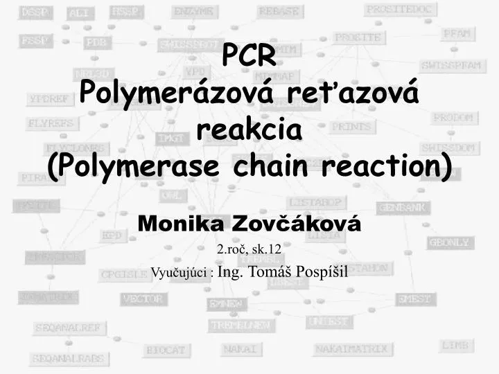 pcr polymer zov re azov reakcia polymerase chain reaction