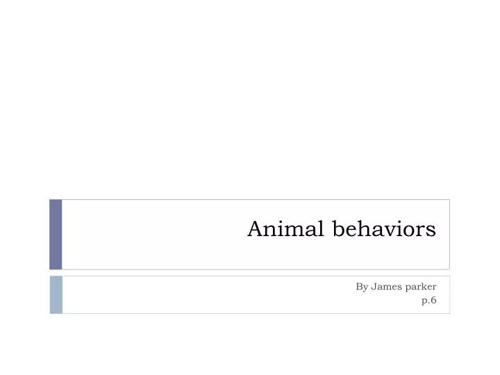 animal behaviors