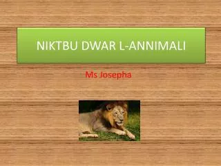 niktbu dwar l annimali