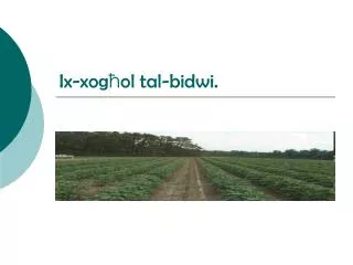 ix xog ol tal bidwi