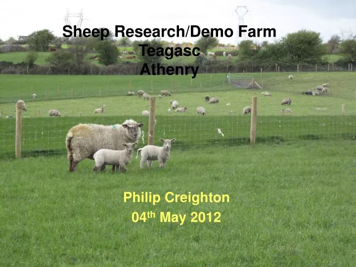 sheep research demo farm teagasc athenry