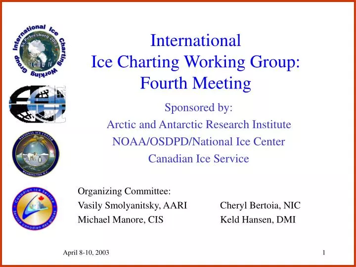 international ice charting working group fourth meeting