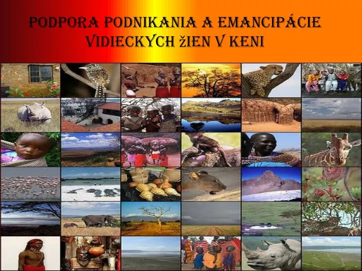 podpora podnikania a emancip cie vidieckych ien v keni