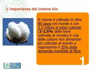 l importanza del cotone bio