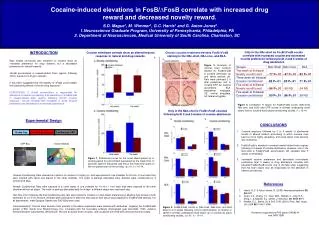 Research supported by PHS grants DA06214 and DA017289.