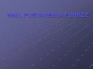 nk postaven a funkce