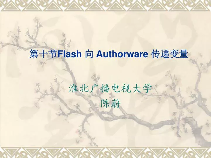 flash authorware