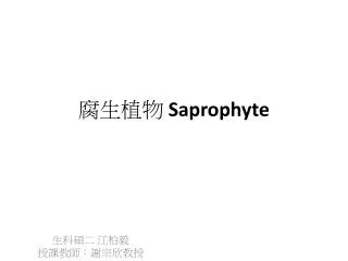 s aprophyte