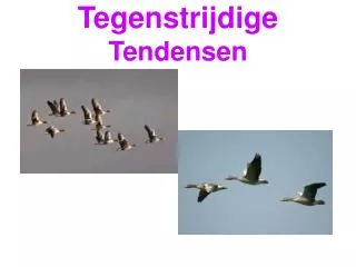 tegenstrijdige tendensen