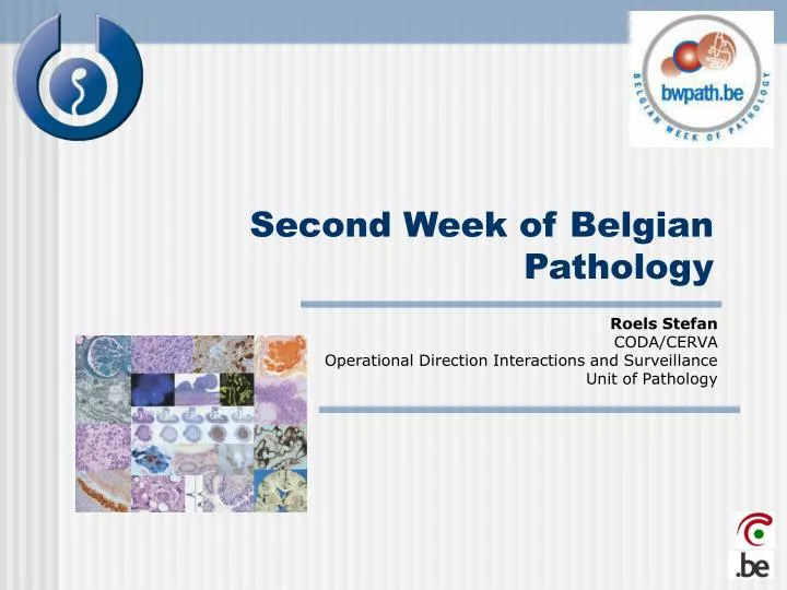 second week of belgian pathology
